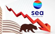 Reportedly, Garena's parent company Sea Limited registered a massive plunge in its stock prices after the ban on the game (Image via Sportskeeda)